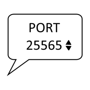 Логотип (Custom LAN).png